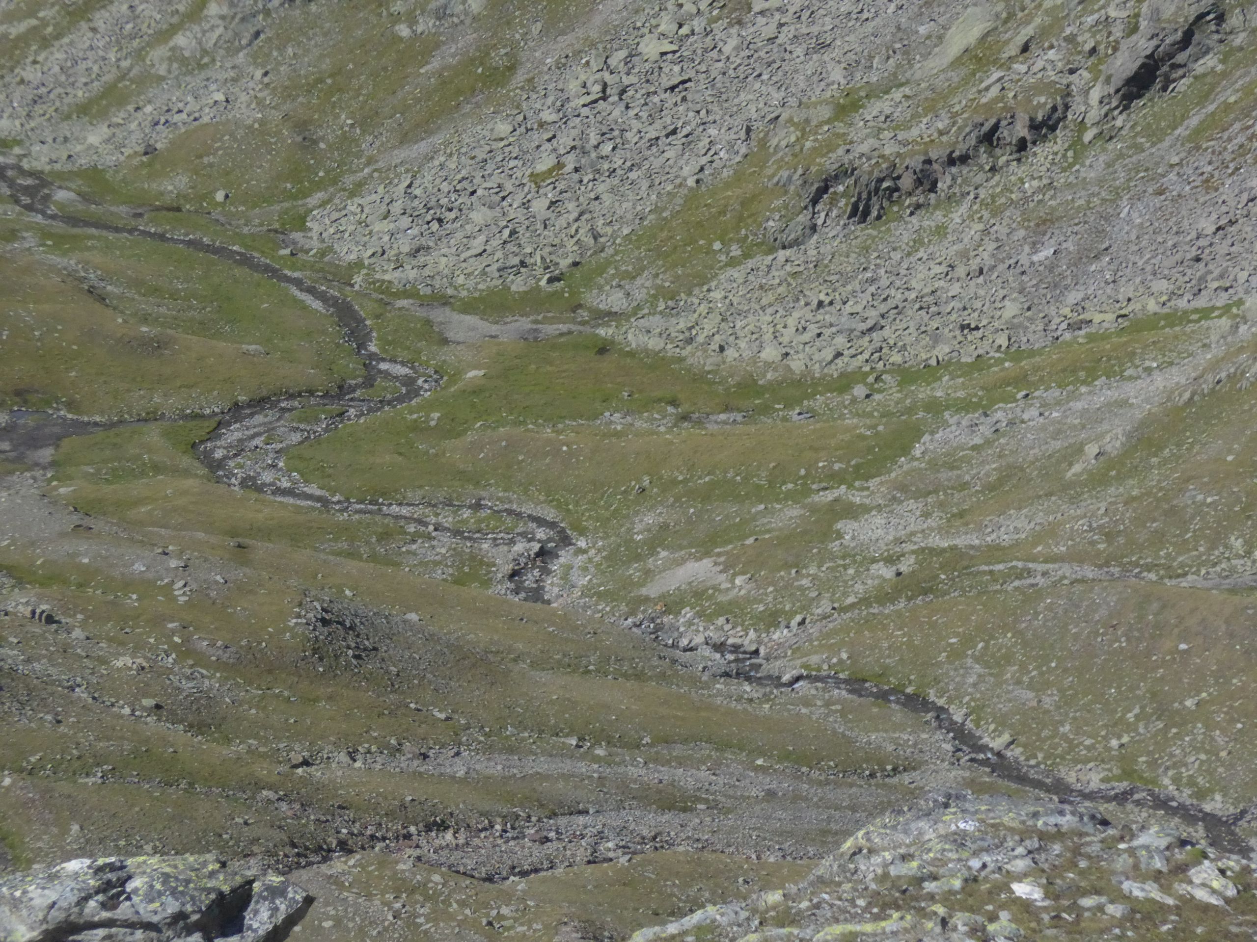 Blick ins Tal